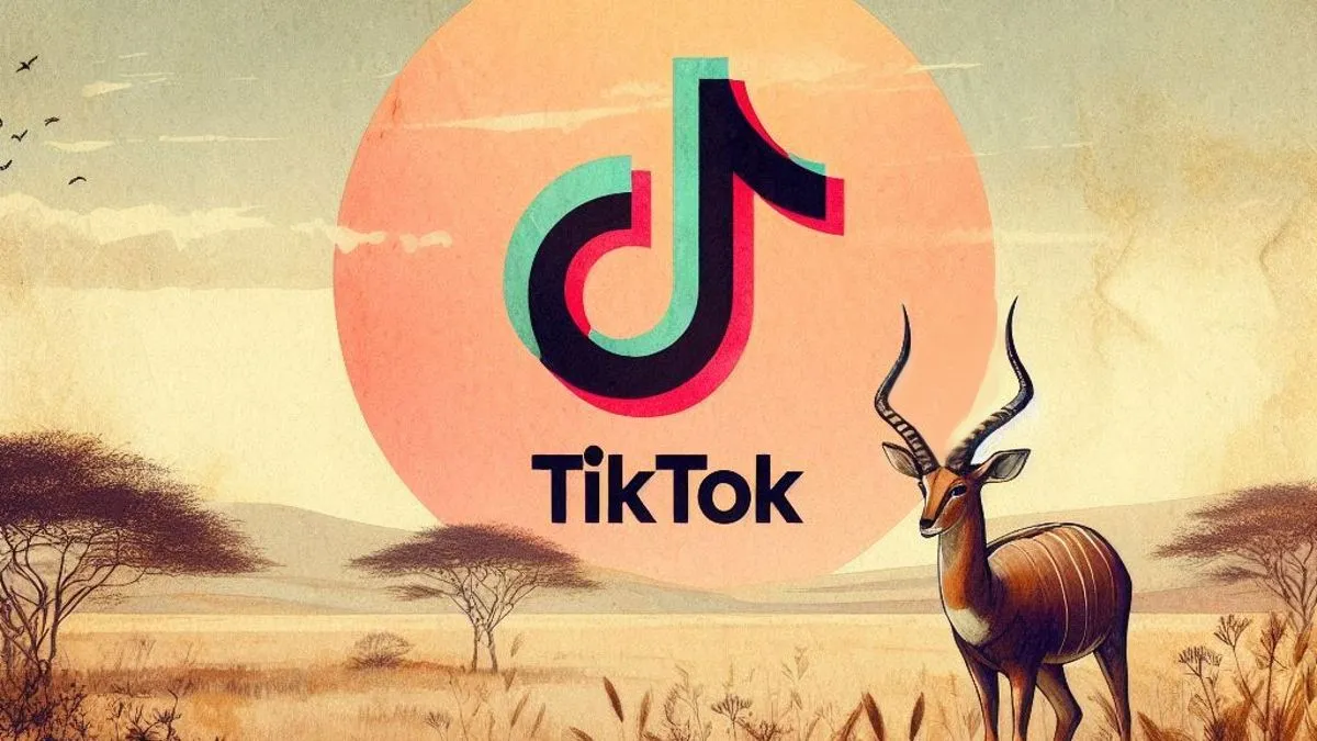 17003 to indie collective impala leei oti to tiktok einai kataskevazontas othoni kapnou meta tin6704a2f209a57